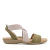 Olive/Taupe