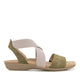 Olive/Taupe